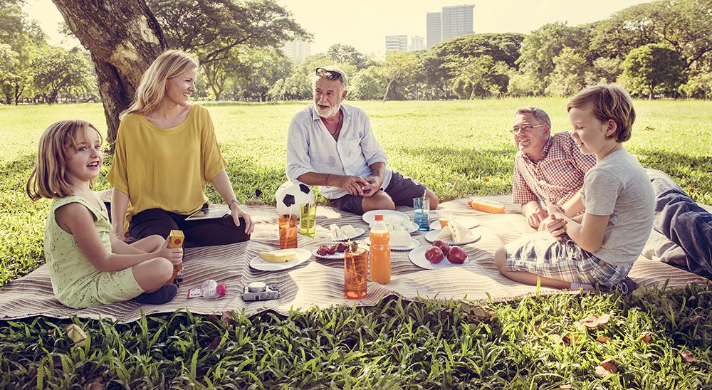 Picnic